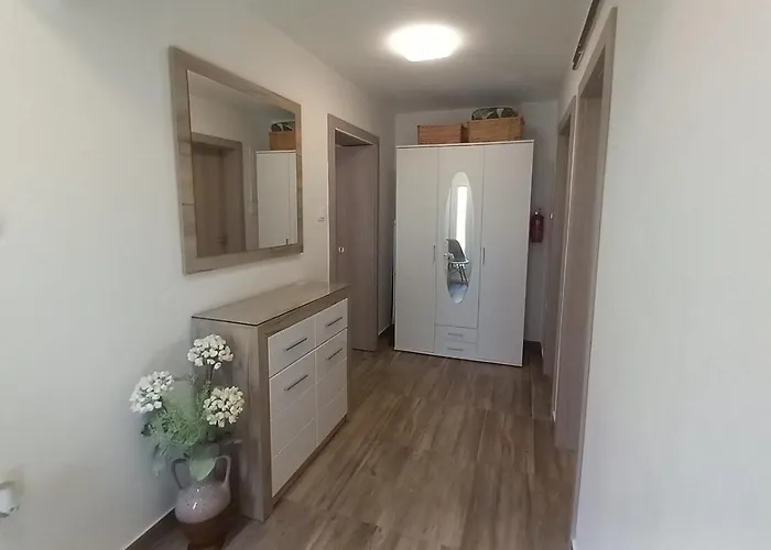 Apartment Elena Novi Vinodolski