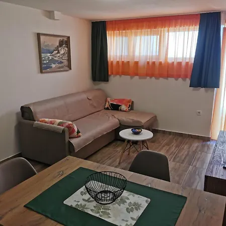 Elena 노비비노돌스키