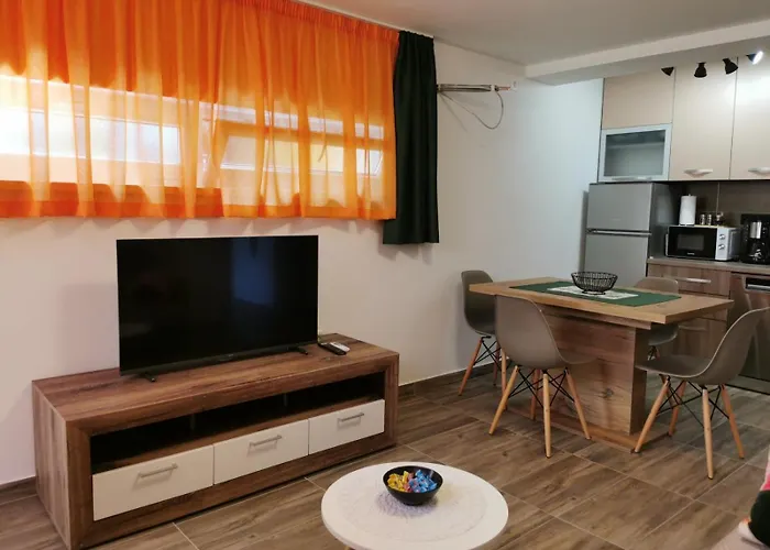 Elena * 노비비노돌스키