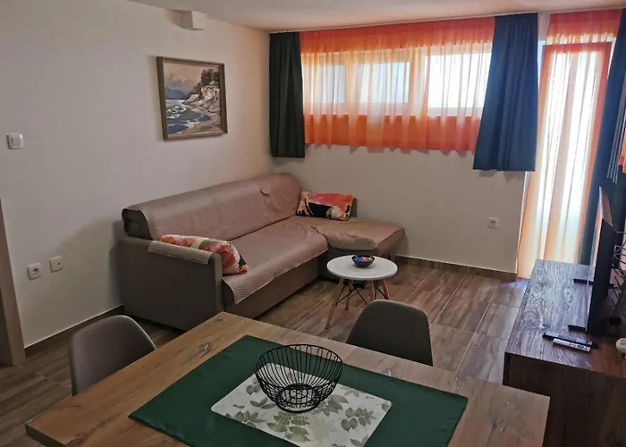 Elena 노비비노돌스키